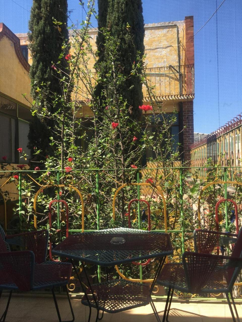 Olivos Habitacion Cuadruple Текуискуиапан Екстериор снимка